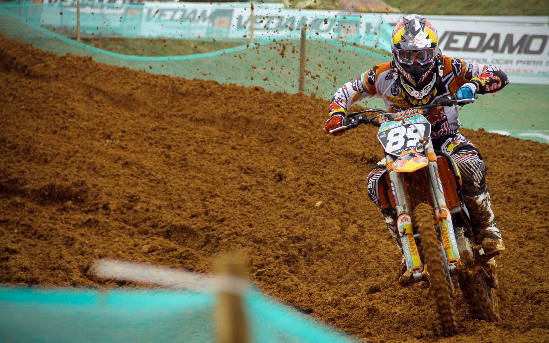 中长距离自由泳表现持续稳定，中长距离游泳和短距离游泳